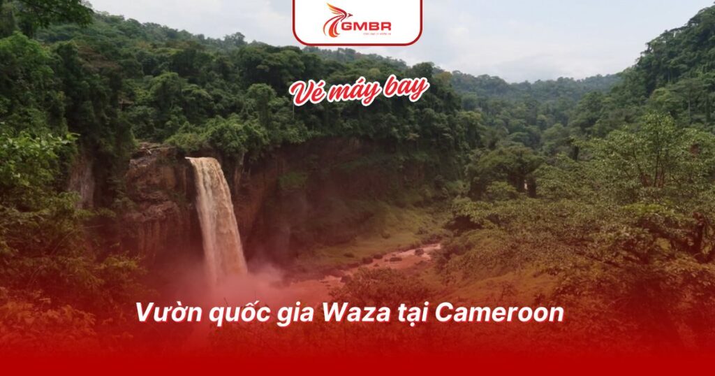 Du lịch Cameroon: Thời điểm du lịch, Địa điểm, Lịch trình chi tiết & Hãng hàng không khai thác chuyến bay đến Cameroon 2 Vườn quốc gia Waza tại Cameroon