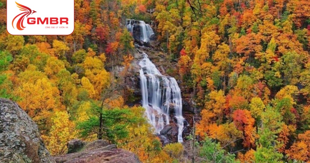 Vườn quốc gia Zakouma