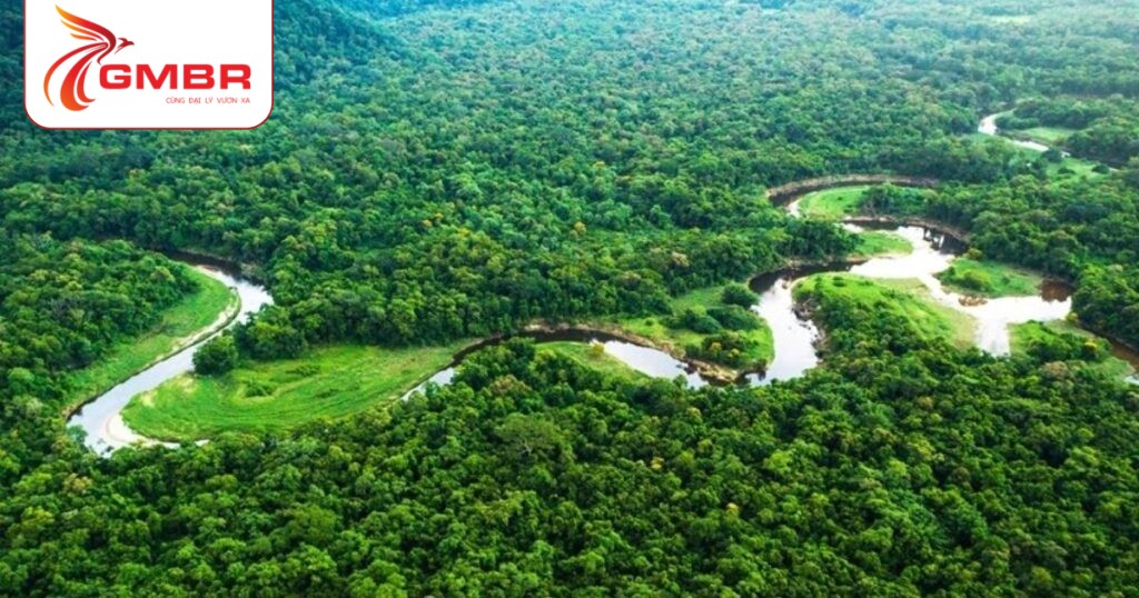 Du lịch Sierra Leone: Thời điểm du lịch, Địa điểm, Lịch trình du lịch & Hãng hàng không khai thác chuyến bay đến Sierra Leone 3 Vườn quốc gia rừng nhiệt đới Gola
